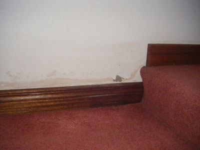 Rising dampness causing a tide mark above the skirting board